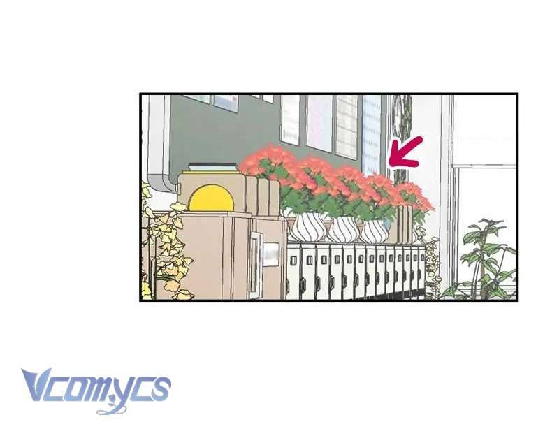 Điều Ước Sao Băng Chapter 8 - Trang 4