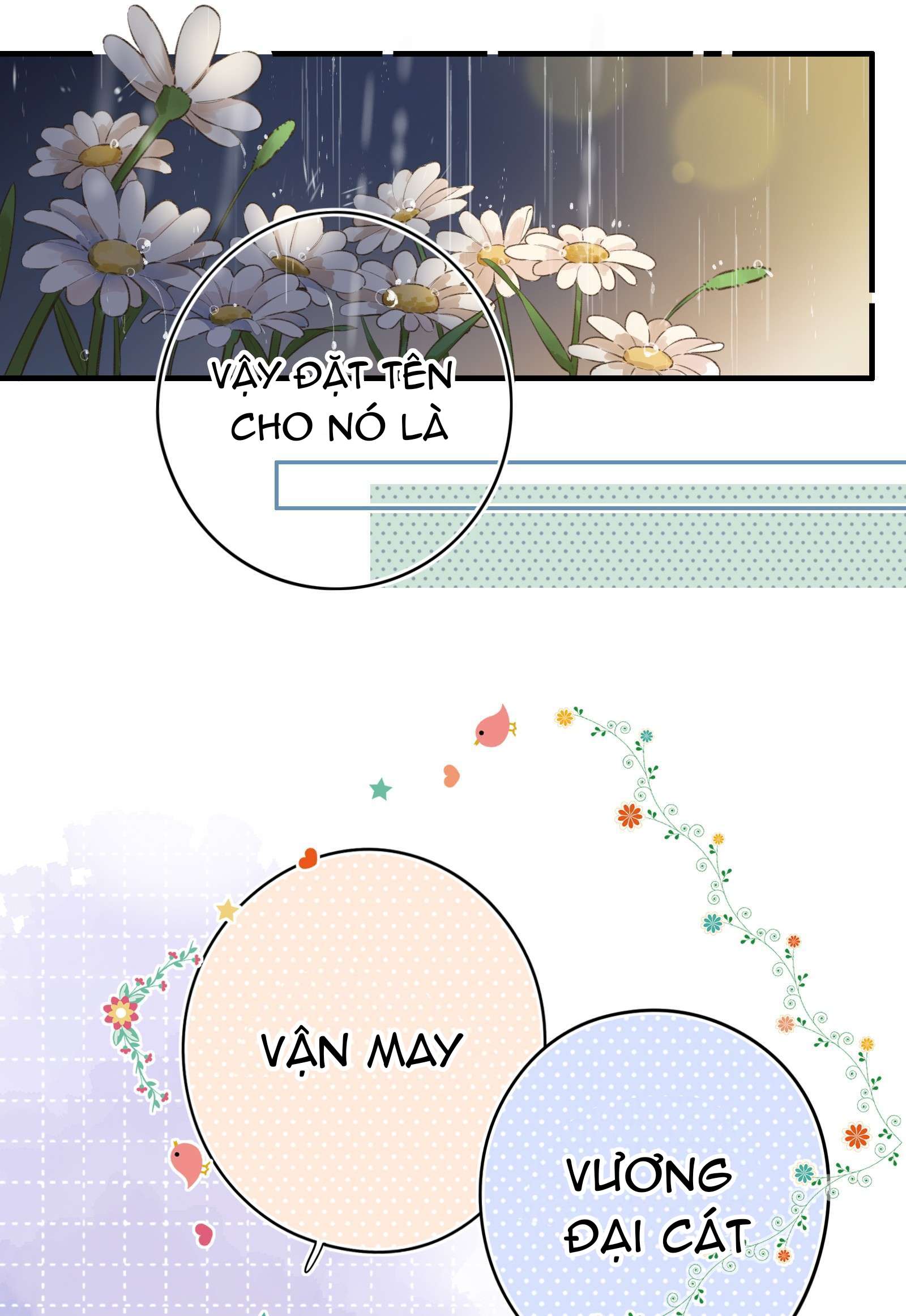 Ánh Sao Phiêu Linh Trong Nước Chapter 39 - Trang 4