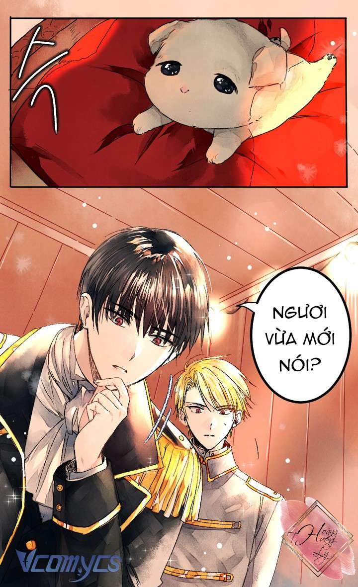 Chợ Review Nhà Họ Hoàng Chap Đế - Next 