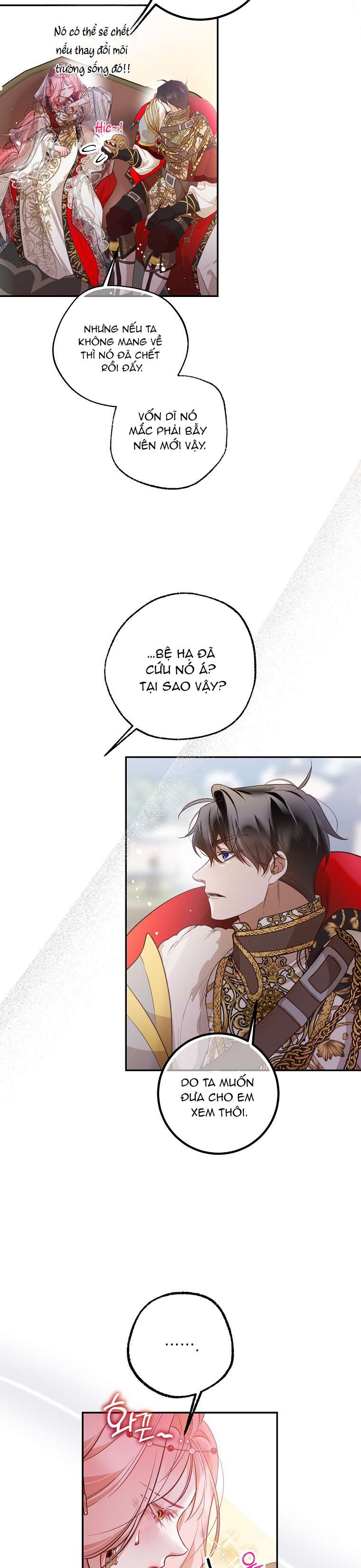 Khi Trái Tim Dẫn Lối Đôi Ta Chapter 34 - Trang 4