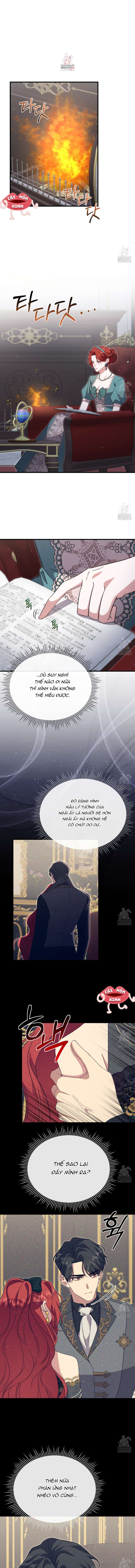 Sau Khi Trùng Sinh Chị Gái Muốn Cướp Lấy Vị Hôn Phu Của Tôi Chap 33 - Trang 4