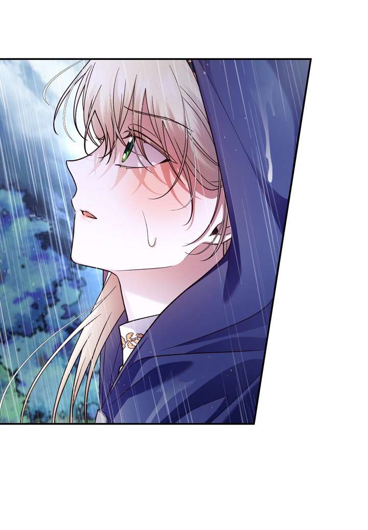 Phương Pháp Che Giấu Đứa Con Của Hoàng Đế Chapter 39 - Trang 4