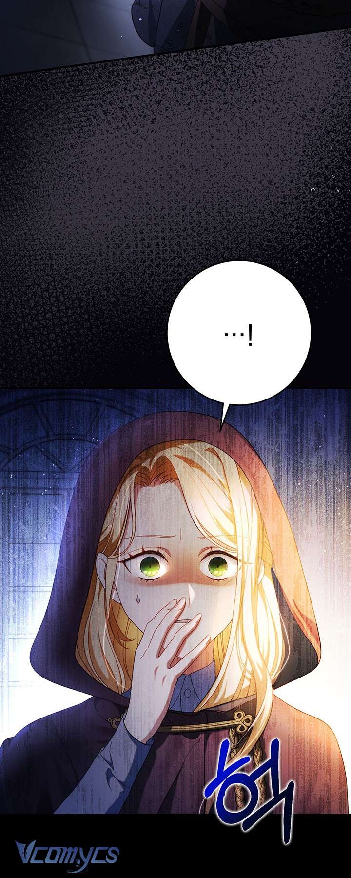 Tôi Đã Nuôi Dạy Em Gái Mình Một Cách Hoàn Hảo Chapter 4 - Trang 4