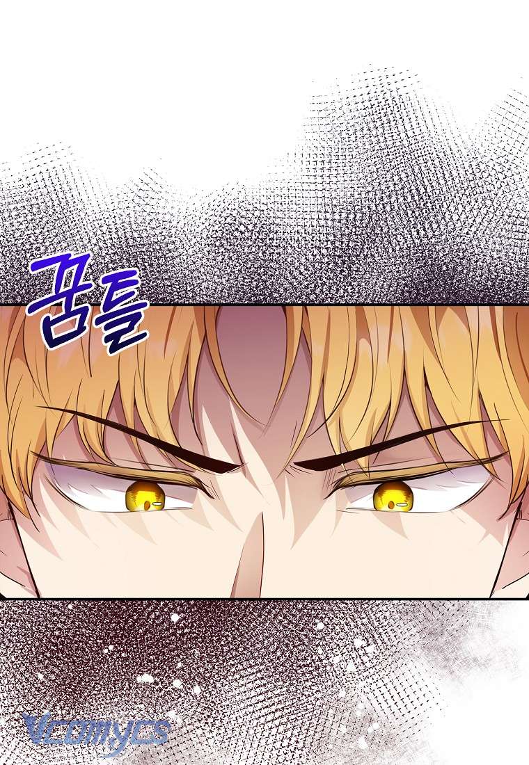 Sóc Con Tài Năng Chap 17 - Trang 2