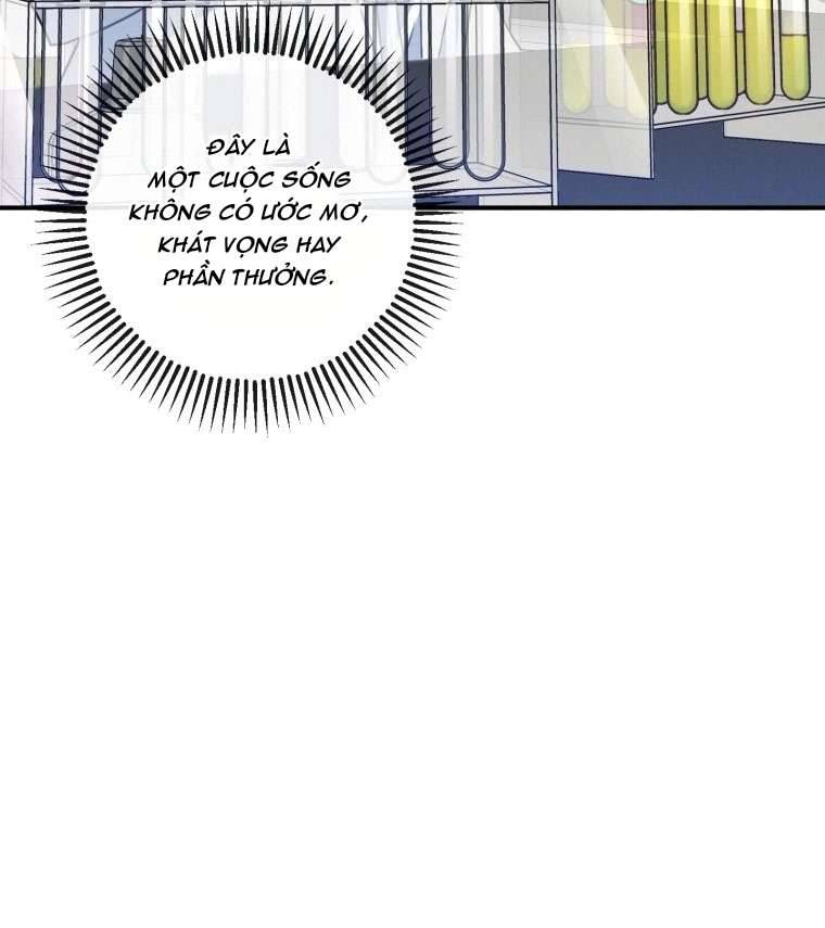 Tôi Là Em Gái Của Nhân Vật Chính Chap 3 - Trang 2