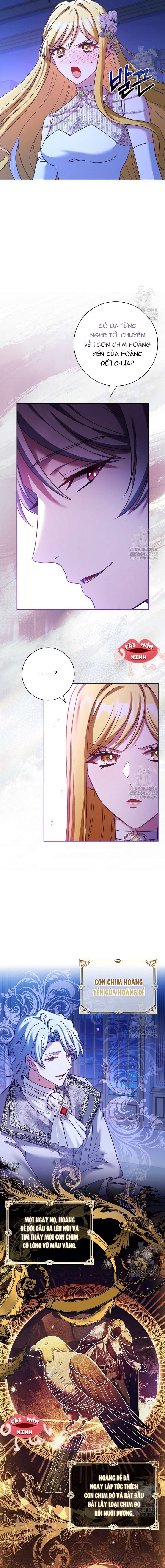 Tôi Phải Mau Chóng Kết Hôn Vì Thời Gian Có Hạn Chapter 23 - Trang 4