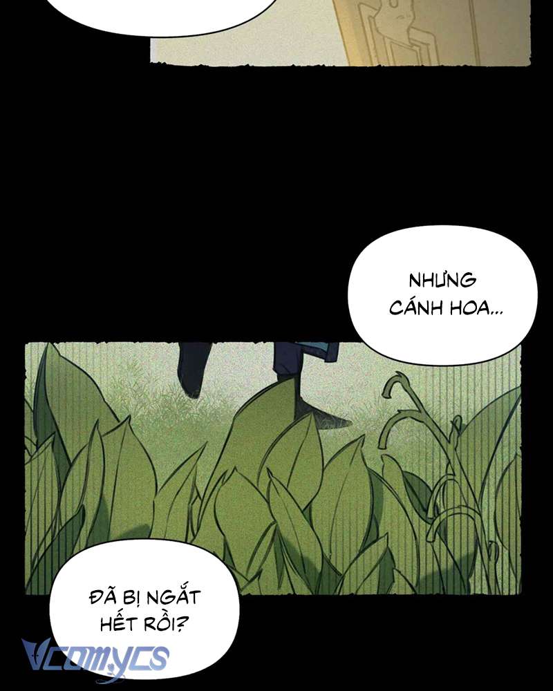 Chuyện Tình Hoa Lưu Ly Chap 5 - Trang 3