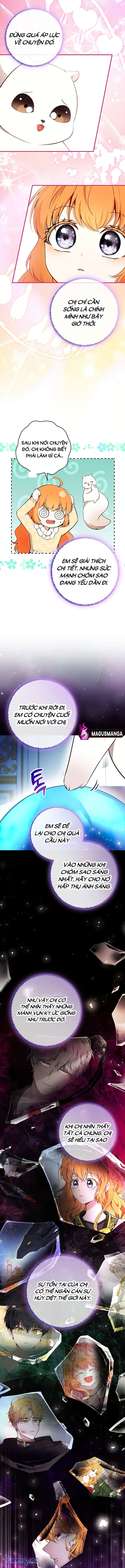 Sóc Con Tài Năng Chap 78 - Trang 2