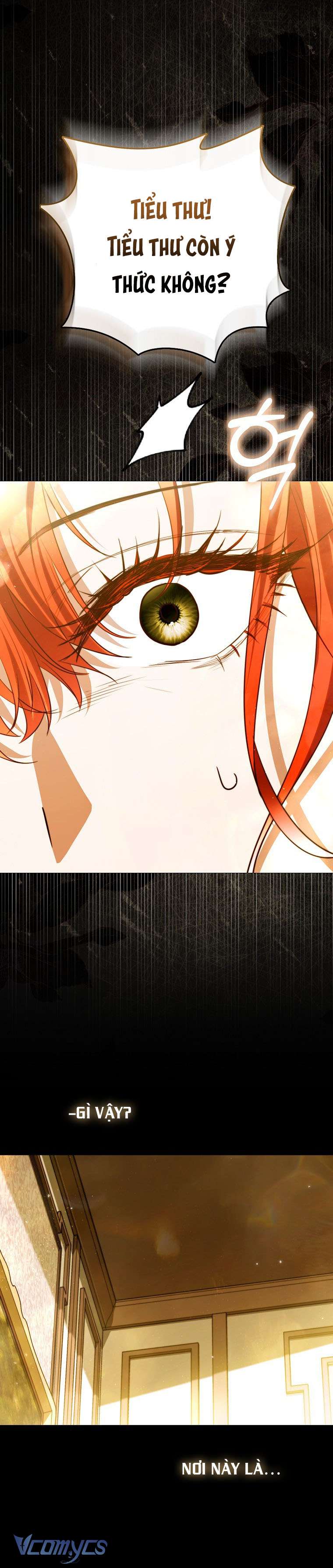 Phương Pháp Kết Thúc Cuộc Hôn Nhân Hợp Đồng Chap 2 - Trang 2