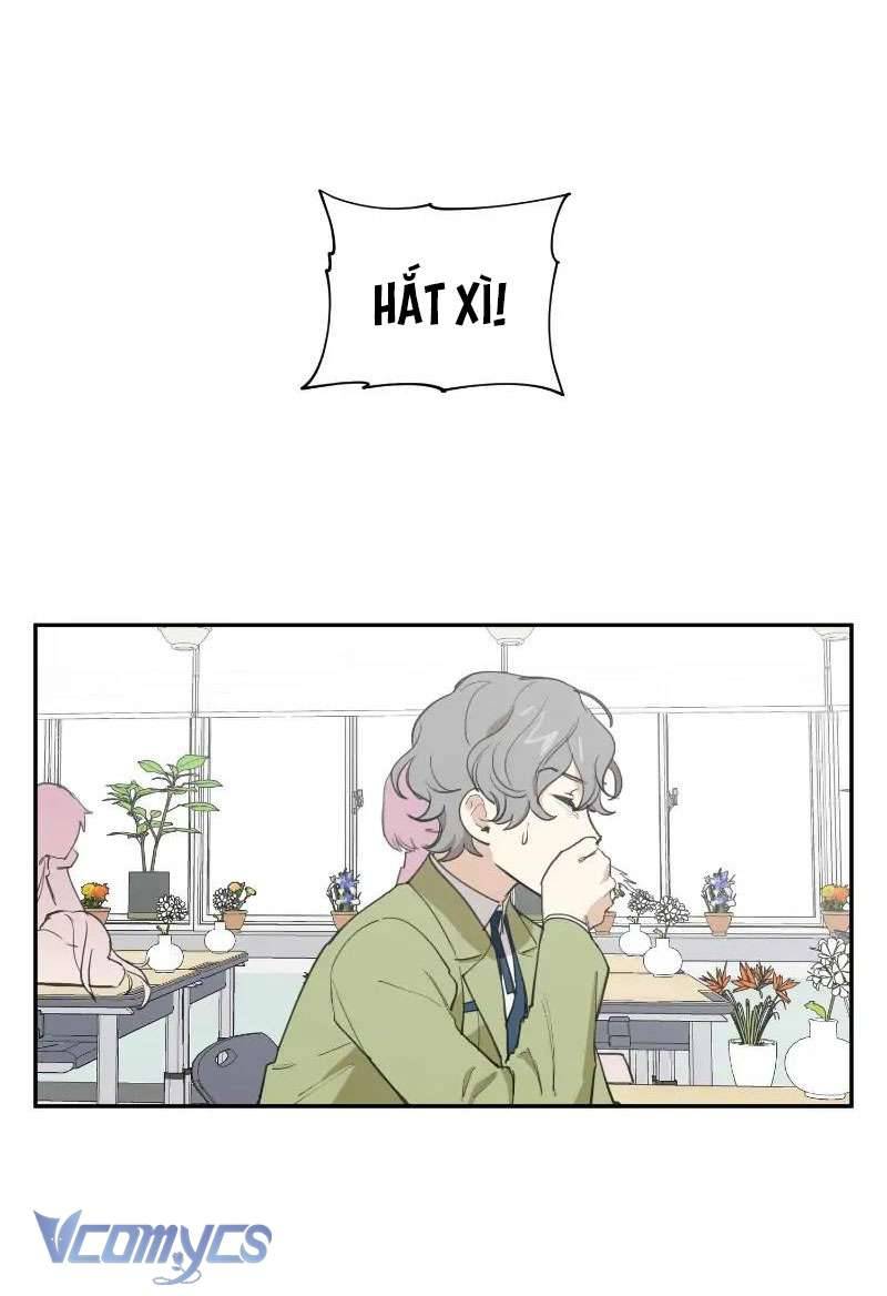 Điều Ước Sao Băng Chapter 8 - Trang 4