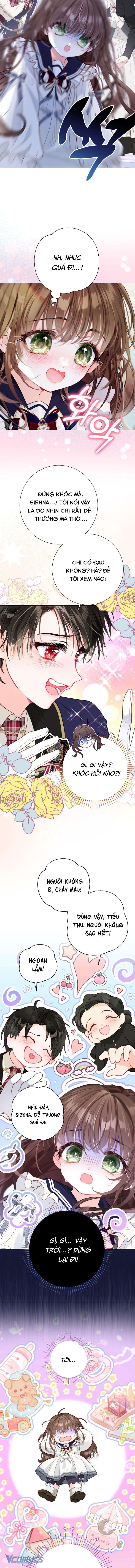 Một Thế Giới Không Có Chị Gái Mà Ai Cũng Yêu Chap 35 - Trang 4