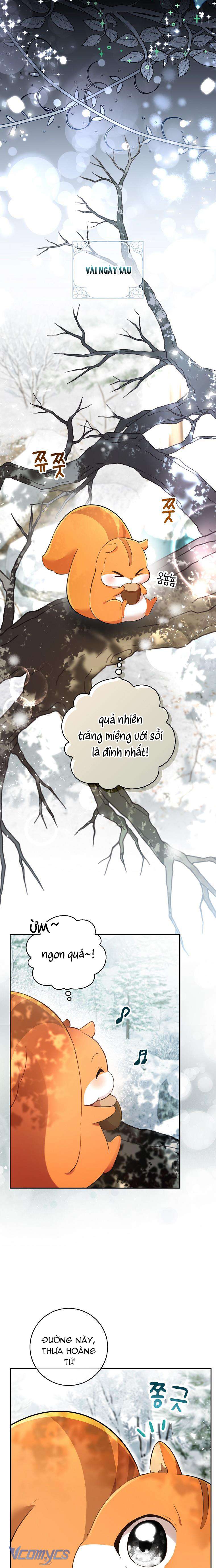 Sóc Con Tài Năng Chap 48 - Trang 2