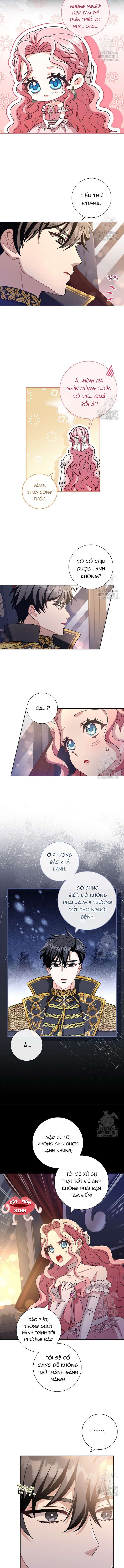 Tôi Phải Mau Chóng Kết Hôn Vì Thời Gian Có Hạn Chapter 5 - Trang 4