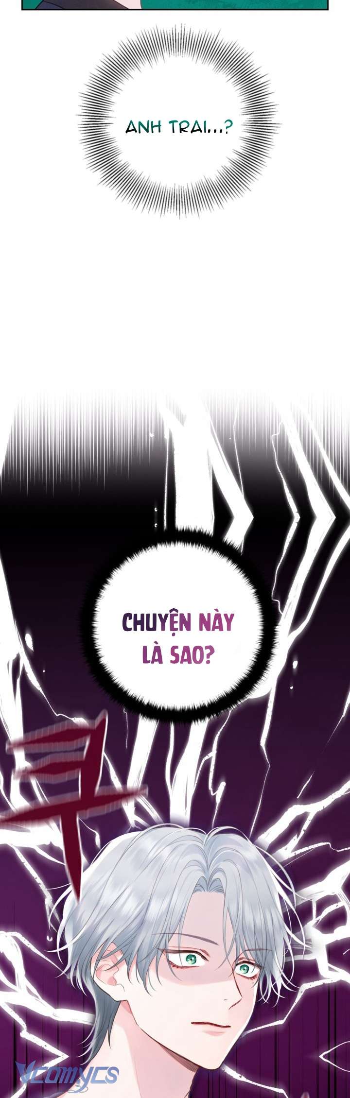 Người Anh Trai Mạnh Nhất Của Tôi Đã Mất Trí Nhớ Chap 2 - Trang 4