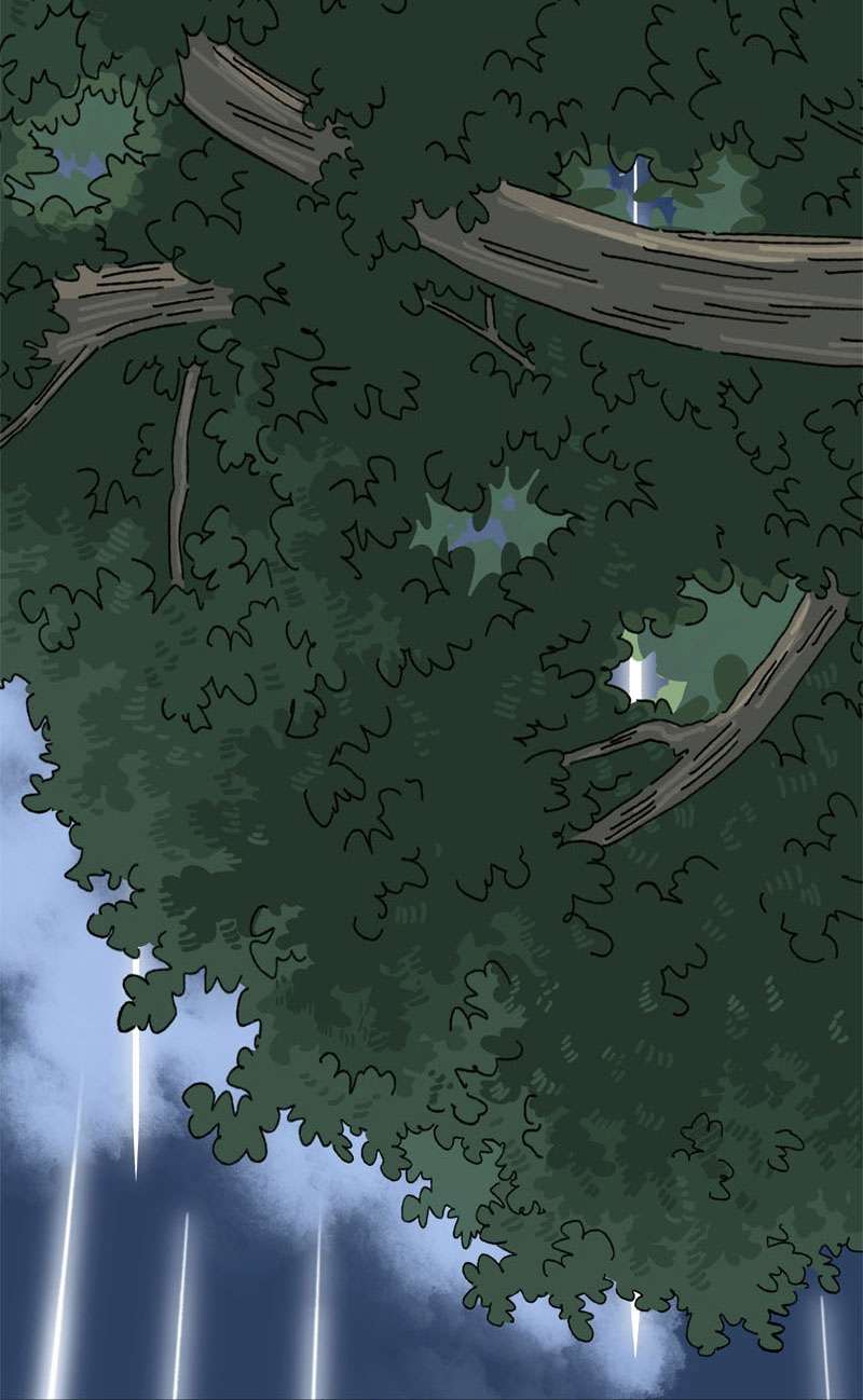 Chú Mèo Tata Chapter 1 - Trang 3