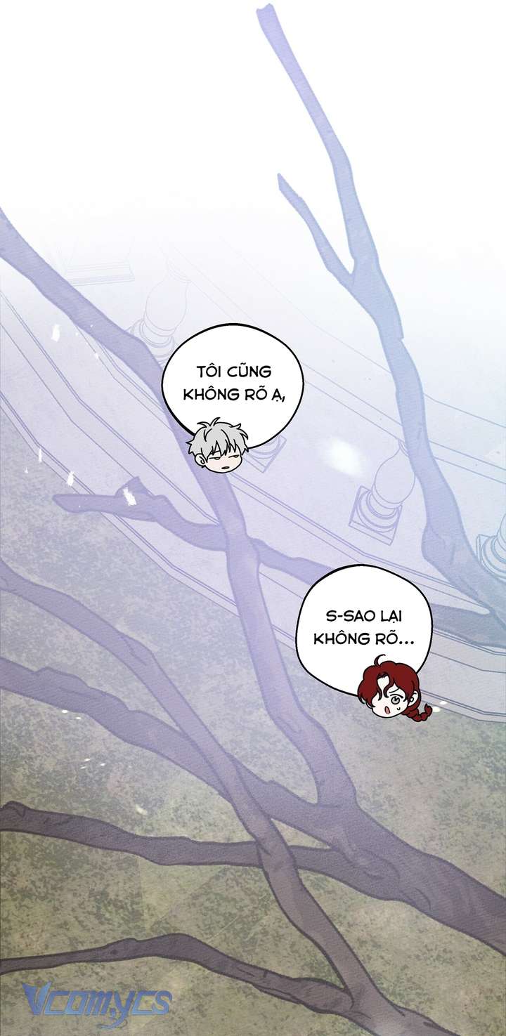 Dưới Bóng Cây Sồi Chap 23 - Trang 4