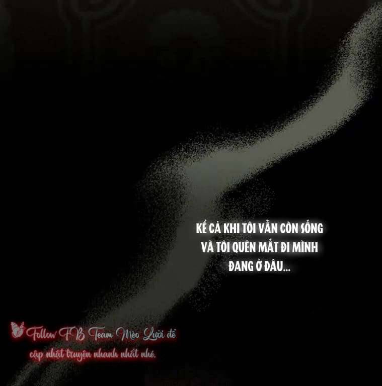 Tôi Đã Bảo Nữ Chính Đang Cải Trang Cơ Mà! Chap 15 - Trang 2