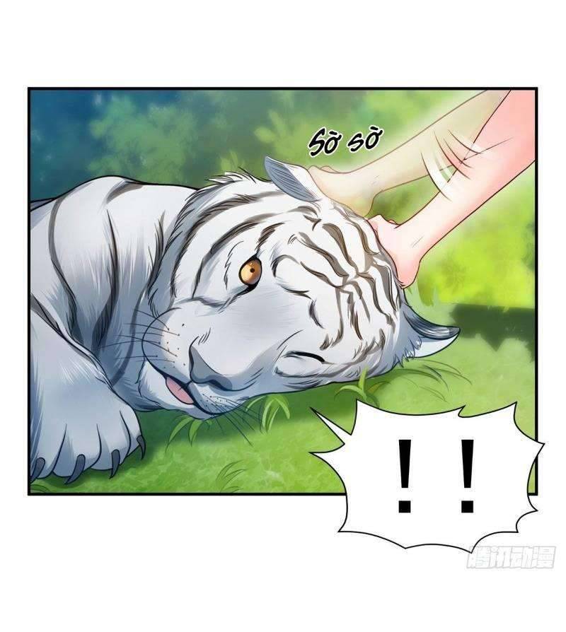 Hệt Như Hàn Quang Gặp Nắng Gắt Chap 67 - Trang 4