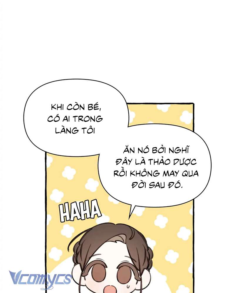 Chuyện Tình Hoa Lưu Ly Chapter 4 - Trang 3