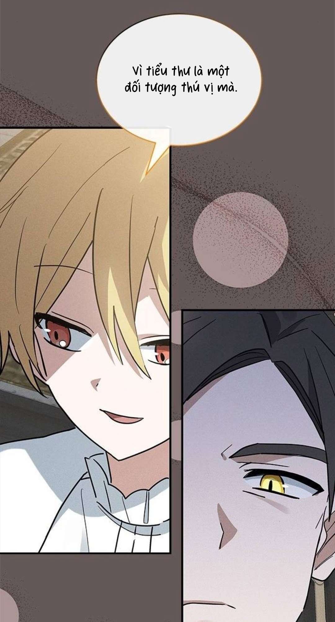 Mèo con được gia tộc sói nhận nuôi? Chapter 25 - Trang 3