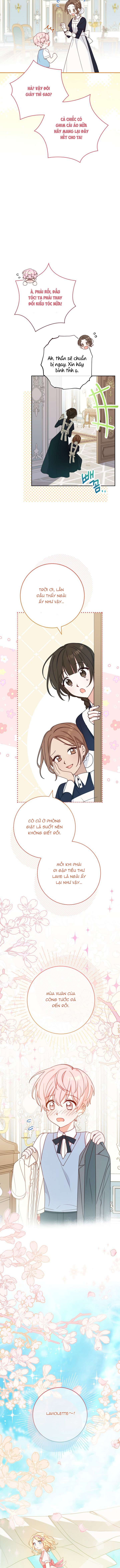 Tôi Đã Phạm Sai Lầm Rồi! Chap 4 - Trang 2