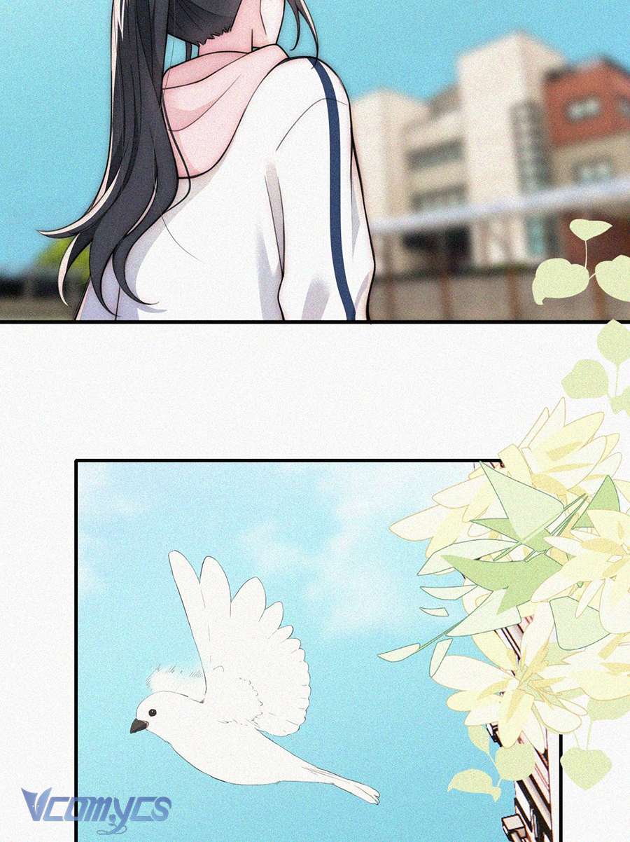 Một Mực Cưng Chiều Chap 55 - Trang 2