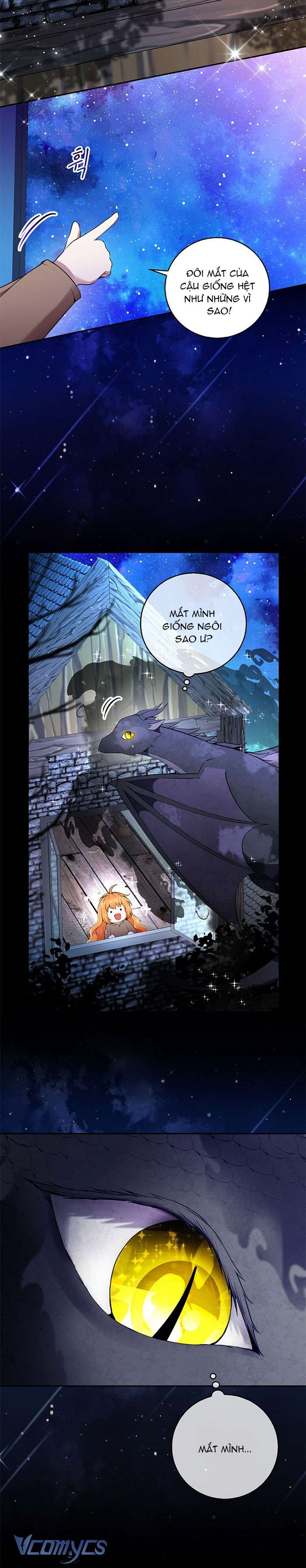 Sóc Con Tài Năng Chap 31 - Trang 2