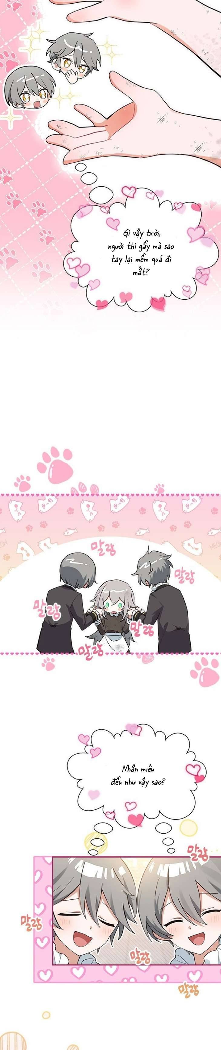 Mèo con được gia tộc sói nhận nuôi? Chapter 2 - Trang 3