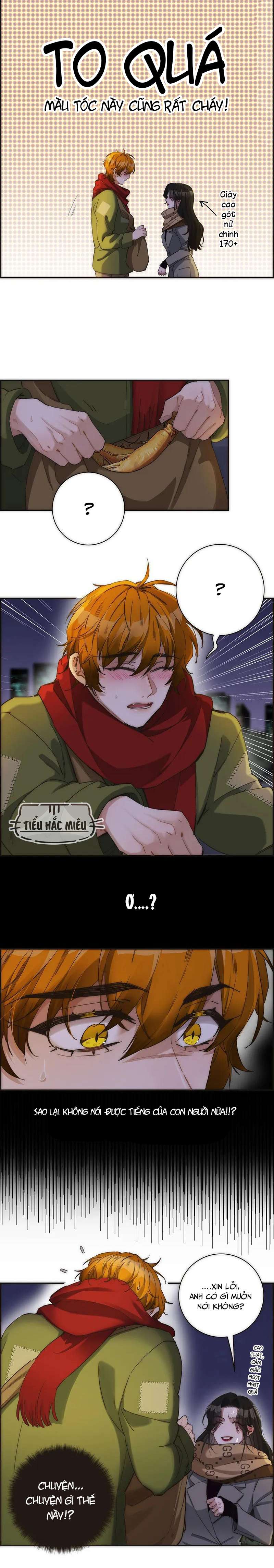 Ân Nhân Của Tôi Không Phải Học Giả Chapter 5 - Trang 3