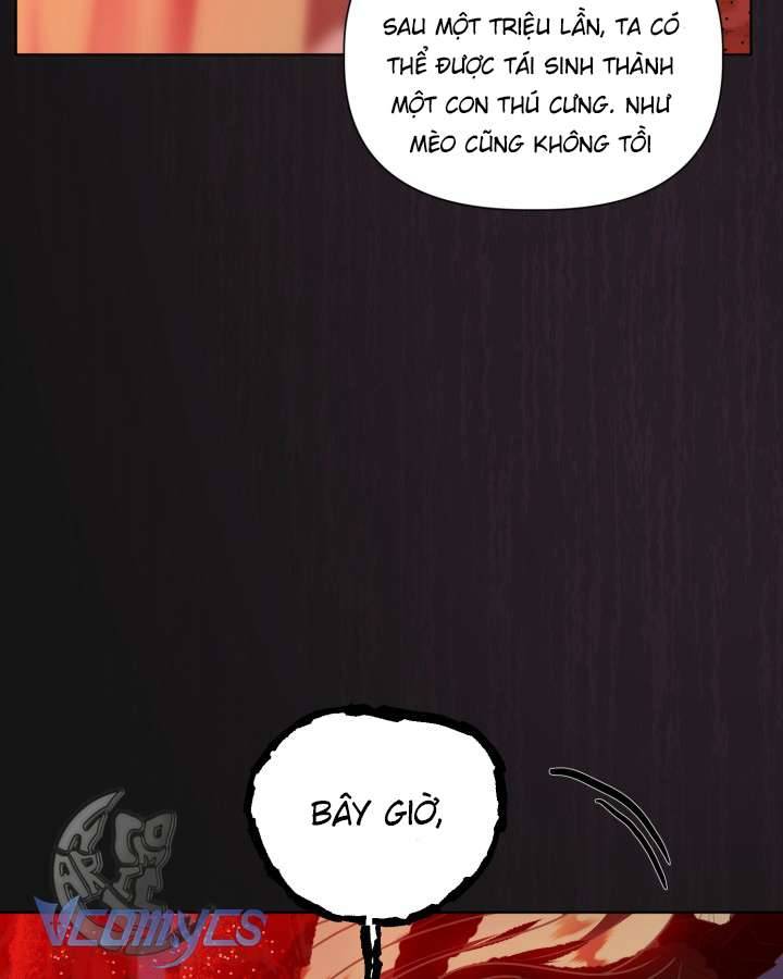 Sự Điều Trị Đặc Biệt Của Tinh Linh Chap SS1 - Next Chapter 0