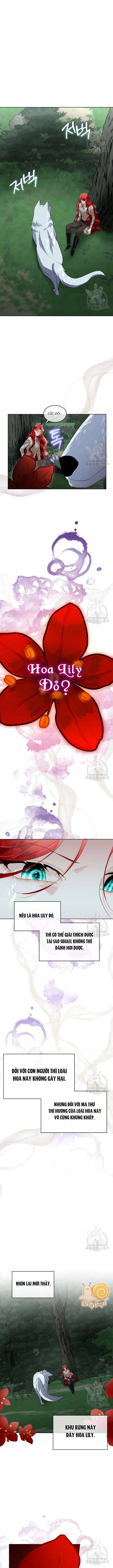 Tạm Thời Tôi Sẽ Bảo Vệ Nam Chính Chapter 46 - Trang 4