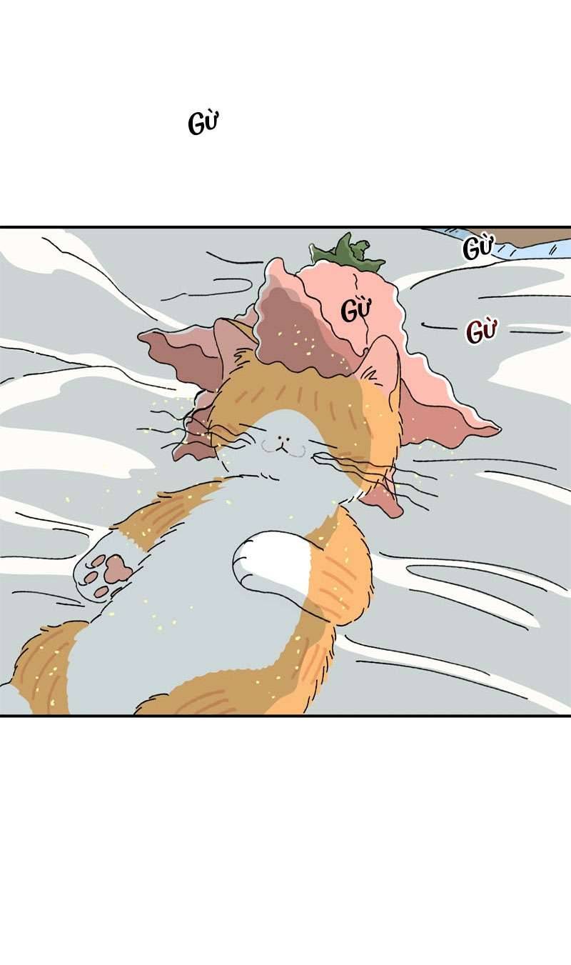 Chú Mèo Tata Chapter 2 - Trang 3