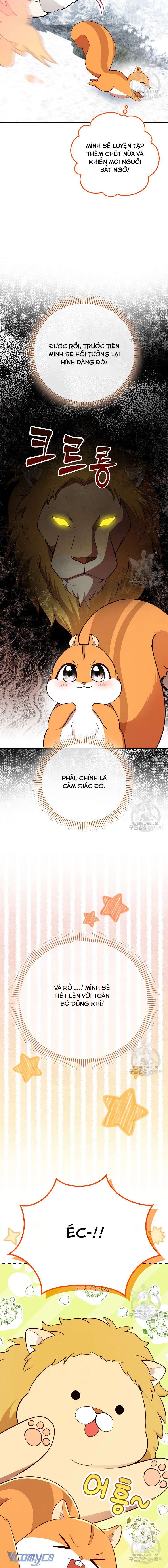 Sóc Con Tài Năng Chap 61 - Trang 2