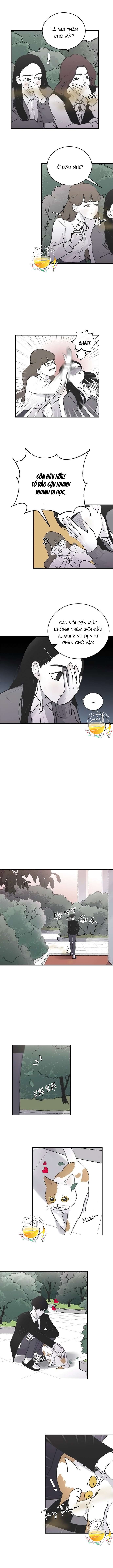 Ba Anh Trai Cực Phẩm Của Tôi Chap 4 - Trang 3