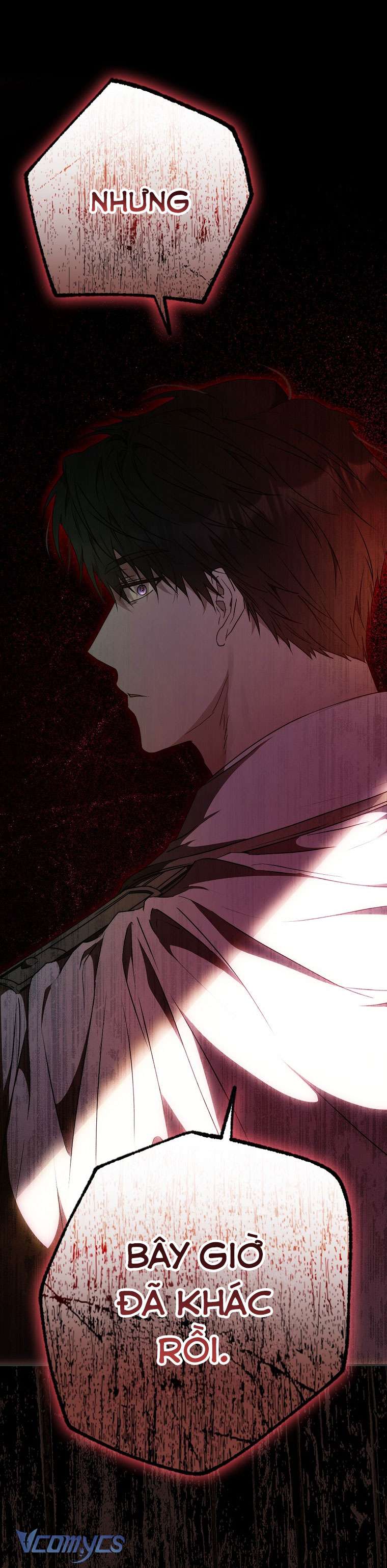 Tôi Trở Thành Vợ Của Nam Chính Chap 90 - Trang 3