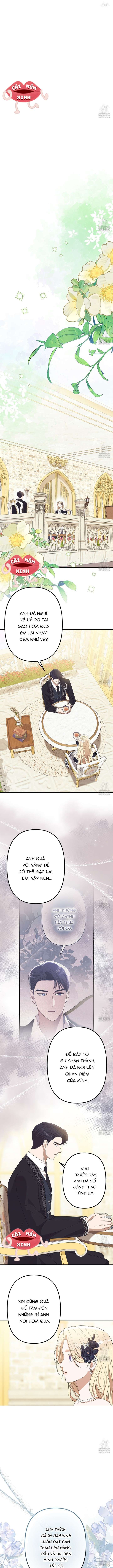 Xin Hãy Để Ý Tới Jasmine Chapter 47 - Next Chapter 48