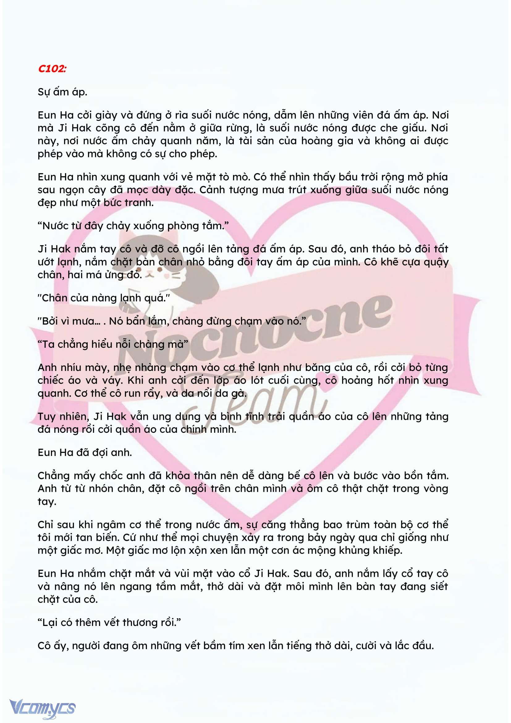 [NOVEL] ĐÊM HỖN LOẠN Chap 102 - Trang 2