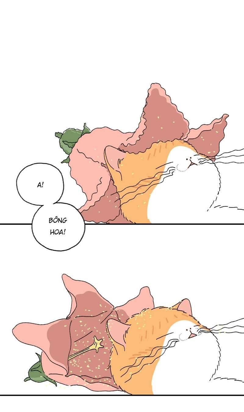 Chú Mèo Tata Chapter 2 - Trang 3