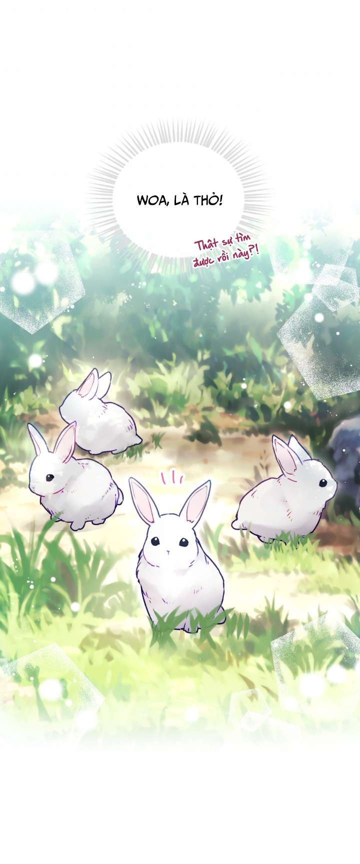 Kết Cục Của Nhân Vật Phản Diện Chỉ Có Thể Là Cái Chết Chap 67 - Trang 3