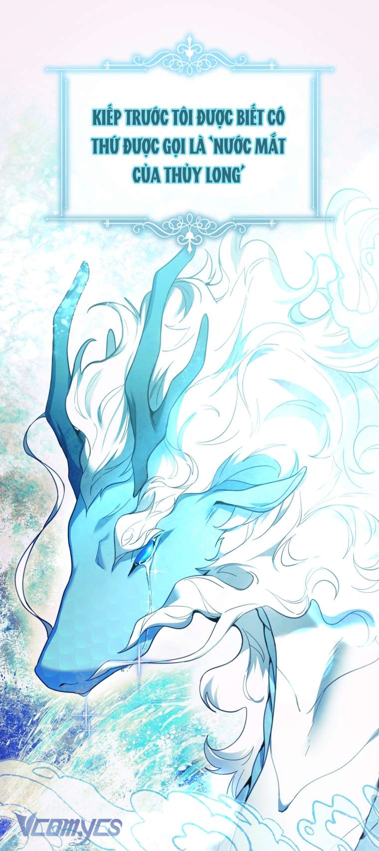 Bé Con Cá Voi Sát Thủ Chapter 3 - Next Chapter 4