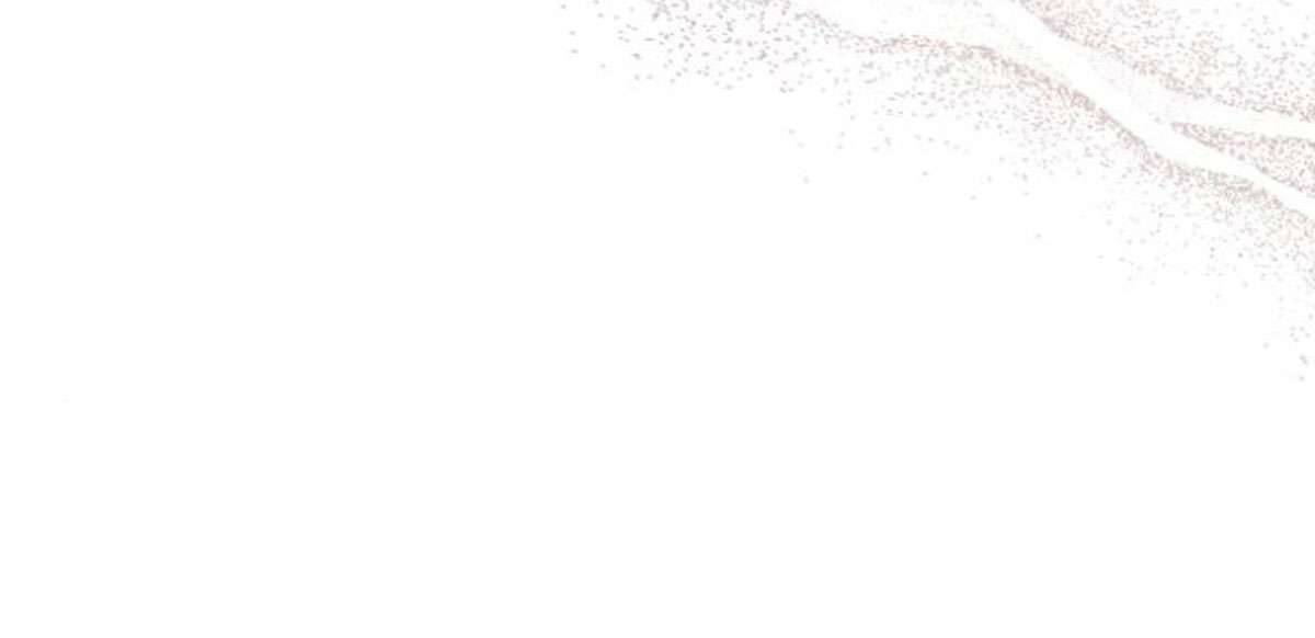 Tôi Tưởng Đó Chỉ Là Tiểu Thuyết Trọng Sinh Bình Thường Chapter 41 - Trang 4