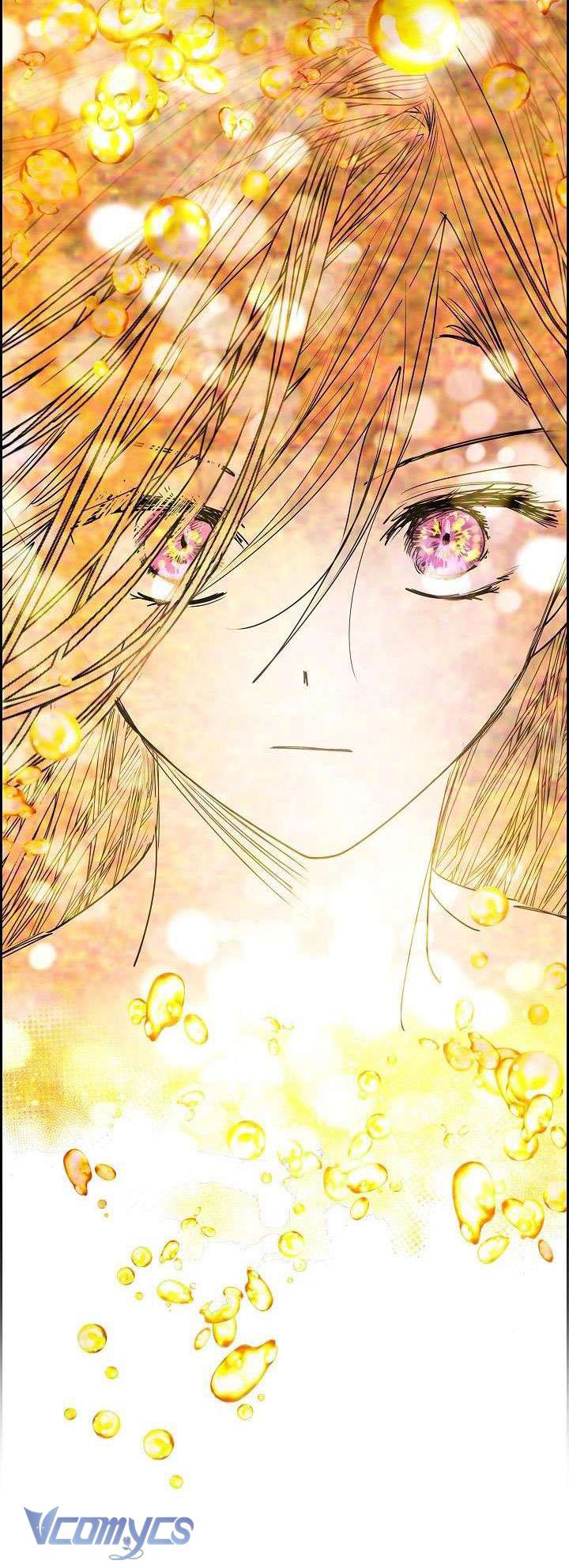 Ác Nữ Sau Lớp Mặt Nạ Chapter 2 - Trang 3