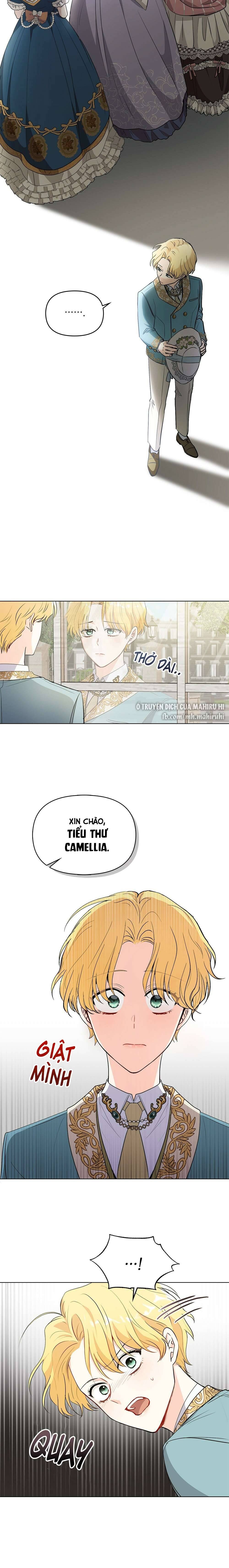 Tìm Lại Camellia Chapter 17 - Trang 4