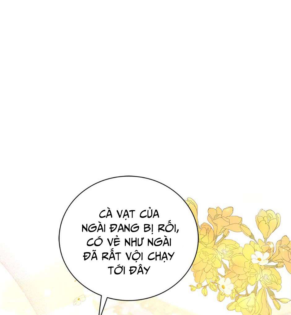 Hầu Gái Trong Trò Chơi Harem Ngược Muốn Nghỉ Việc Chap 5 - Trang 3