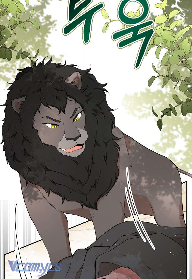 Sóc Con Tài Năng Chap 8 - Trang 2