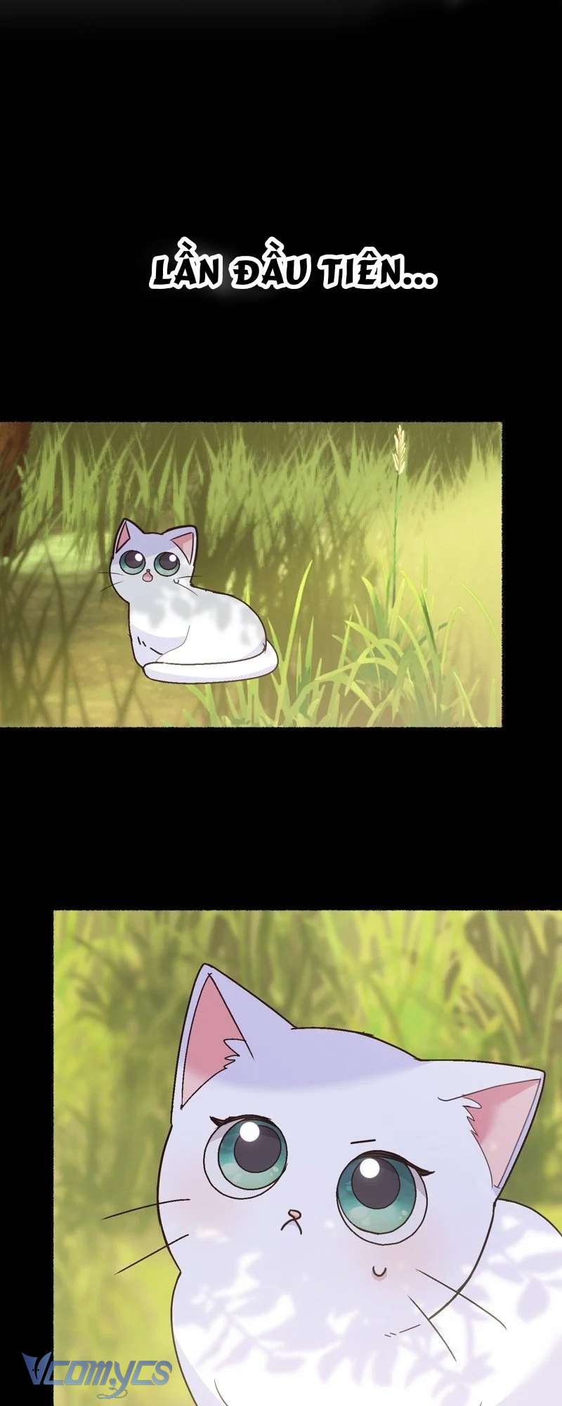 Trở Thành Chú Mèo Ngủ Cùng Bạo Chúa Chapter 4 - Trang 3