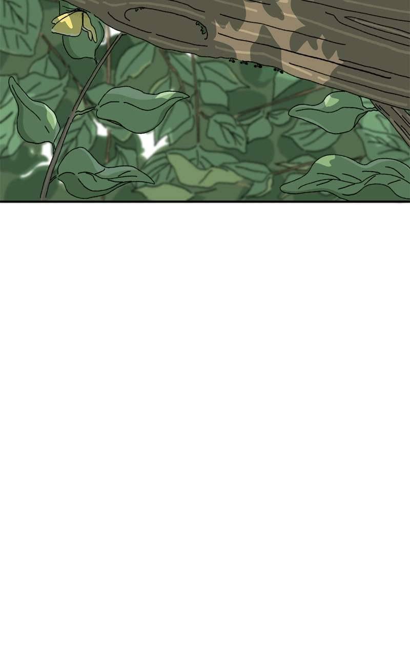 Chú Mèo Tata Chapter 2 - Trang 3