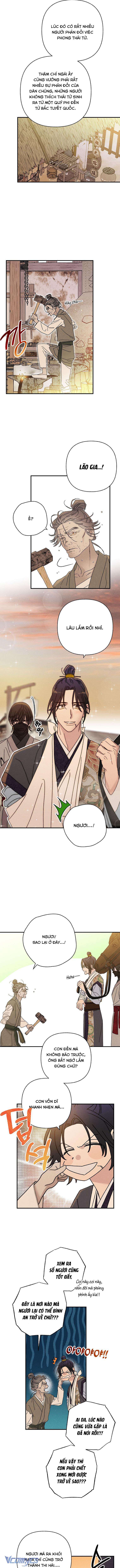 Quốc Hôn Chapter 41 - Trang 4