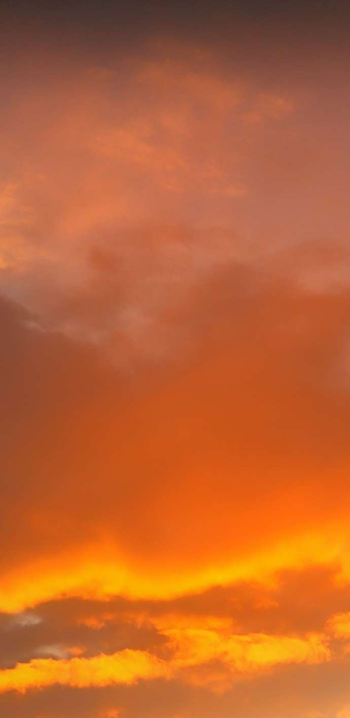 Lời Thú Nhận Của Chúa Tể Bóng Tối Chapter 114 - Trang 4