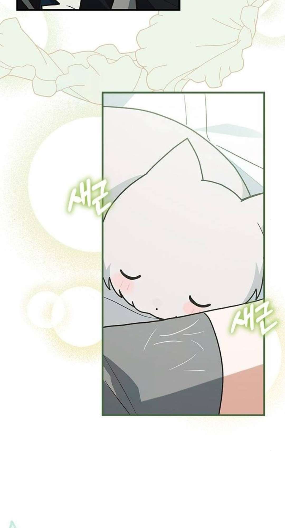 Mèo con được gia tộc sói nhận nuôi? Chapter 24 - Trang 3